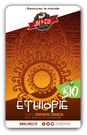 ethiopie-sidama-cooperative-shilicho